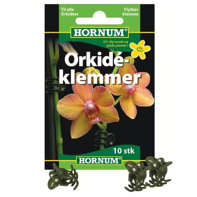 hornum-orkid-klmmor-10st-1
