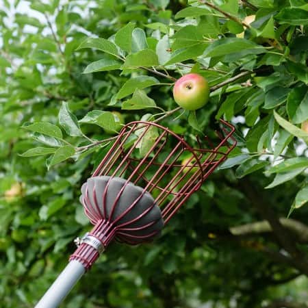 kent-stowe-fruktplockare-inkl-teleskop-2