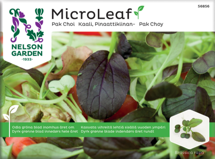 micro-leaf-pak-choi-1