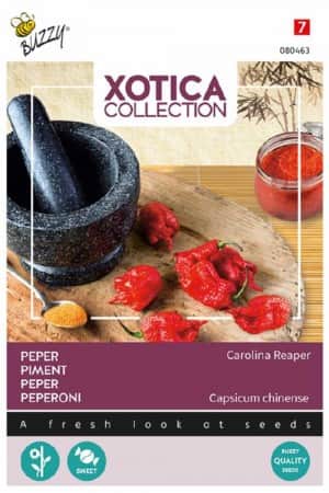 chilipeppar-carolina-reaper-1