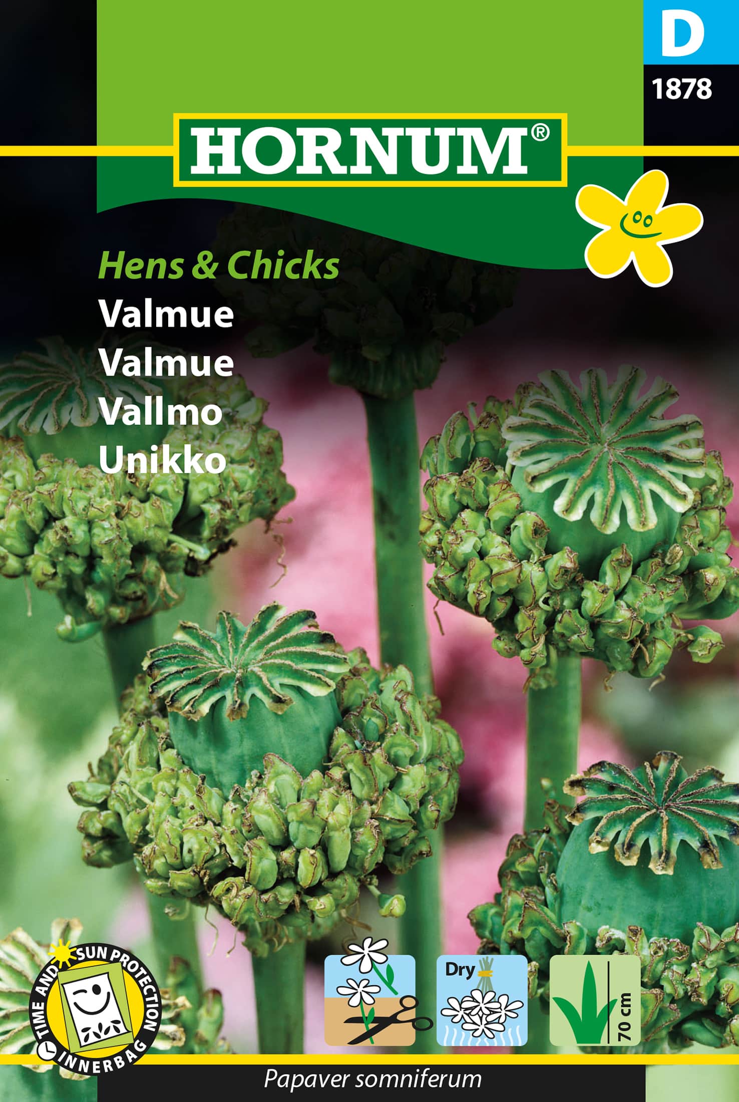 vallmo-hens-and-chicks-1