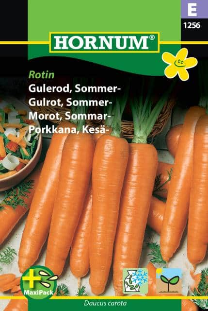 sommarmorot-rotin---maxi-pack-1