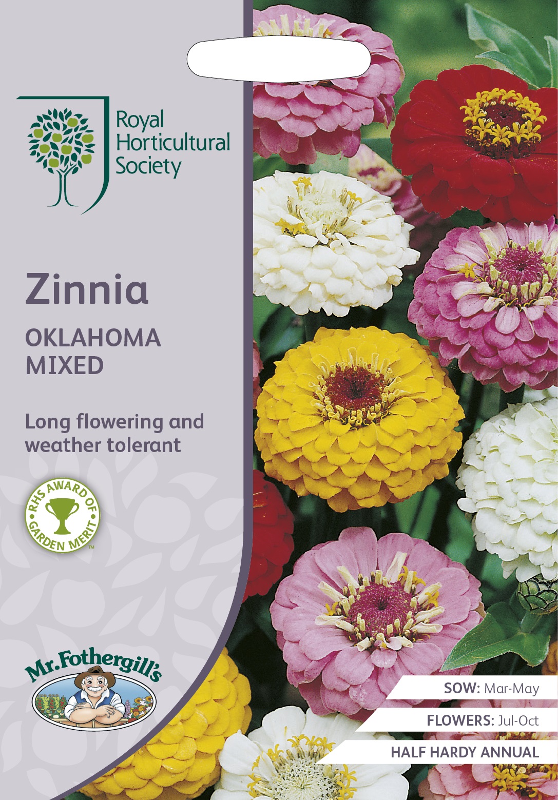 Zinnia Oklahoma mix, frö