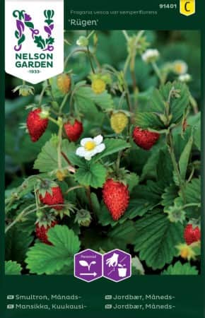 mnadssmultron-rgen-1