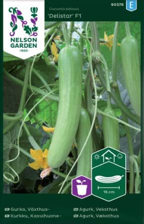 slanggurka-delistar-f1-1