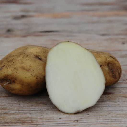 sttpotatis---early-puritan-1kg---rets-potatis-1