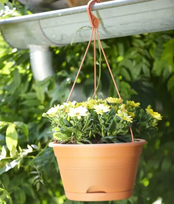 green-basics-hanging-basket-28cm---terracotta-3