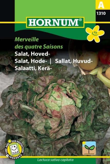 huvudsallat-merveille-des-quatre-saisons-1