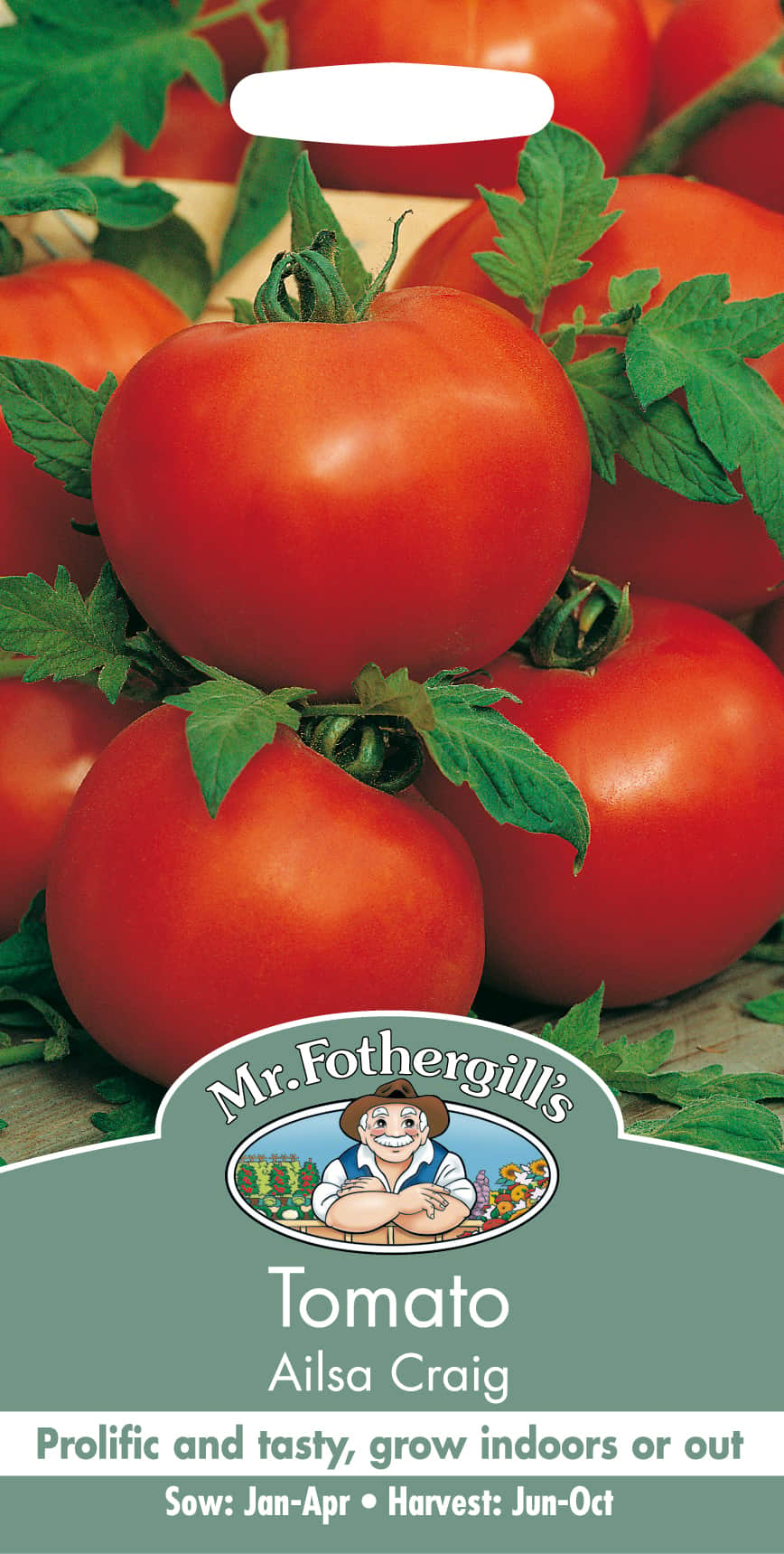 tomat-ailsa-craig-1