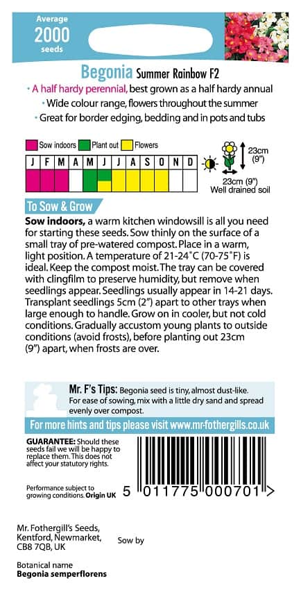 begonia-summer-rainbow-f2-2