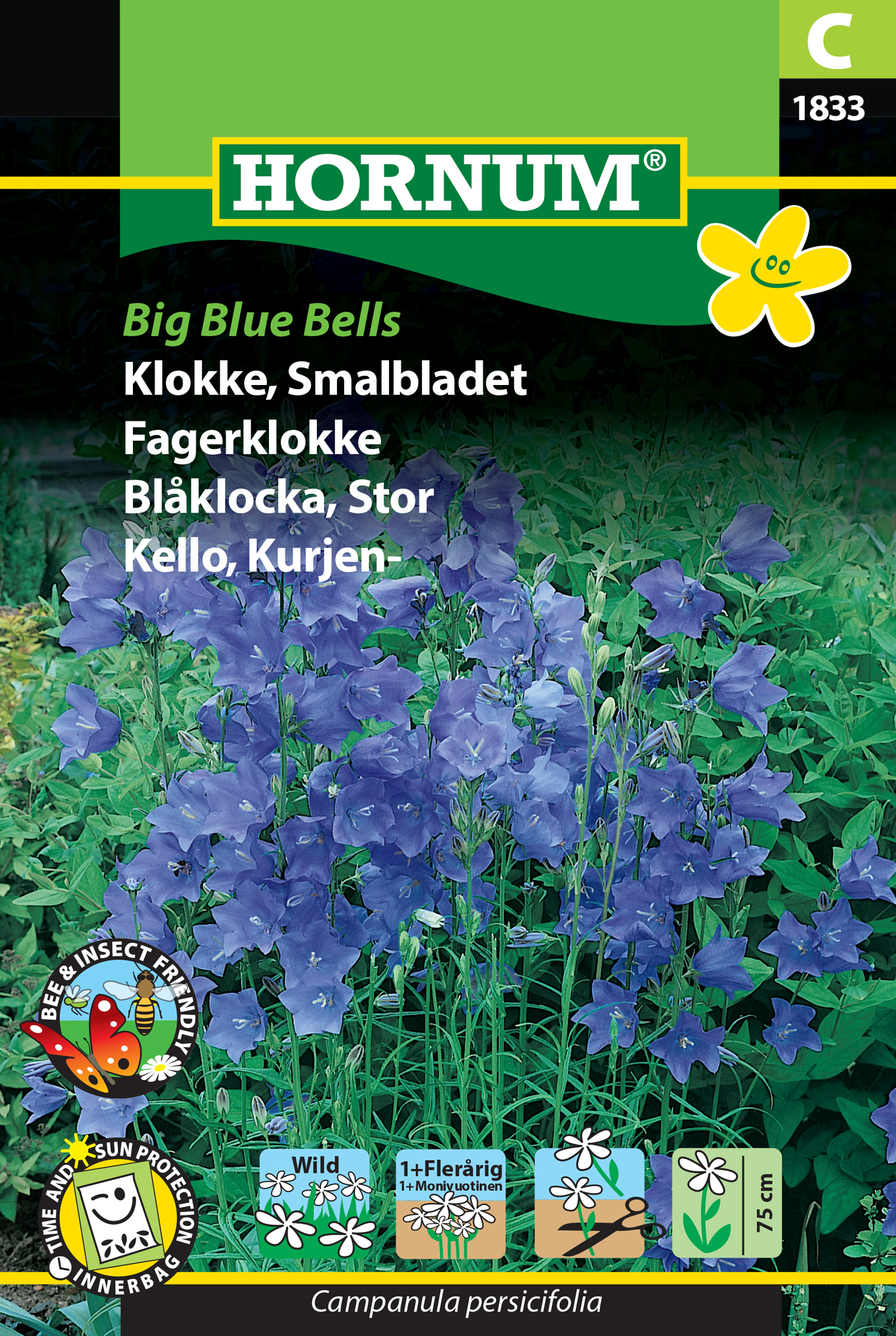 Blåklocka ’Big Blue Bells’ frö