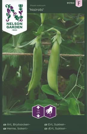 brytsockerrt-nairobi-1