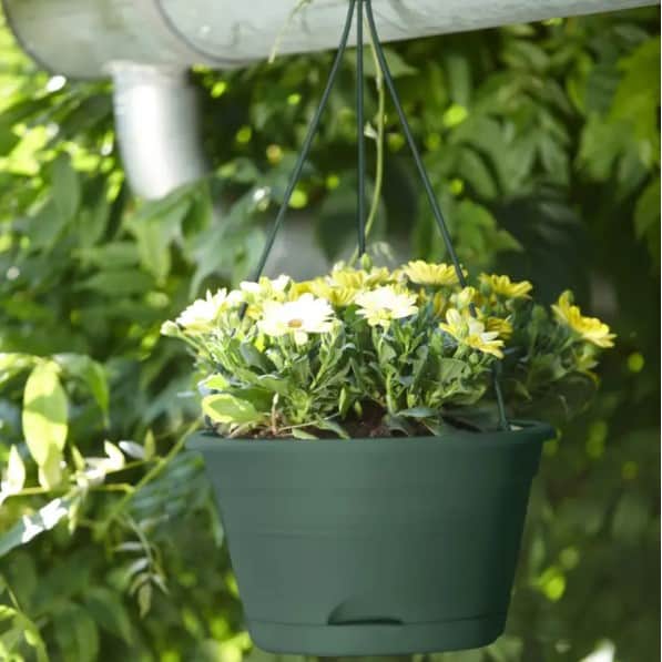 green-basics-hanging-basket-28cm---leaf-green-2