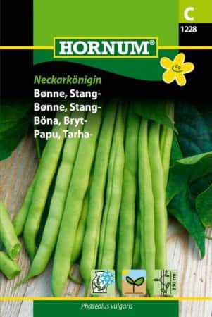 brytbna-neckarknigin-1