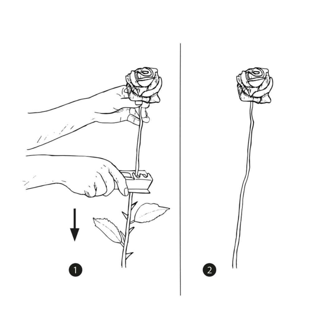 rostaggsborttagare-l135cm-1