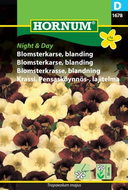 blomsterkrasse-mix-night-day-1