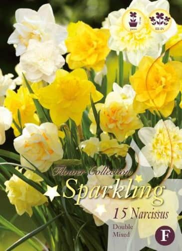 narcissmix-dubbelblommande-mix-15st-1