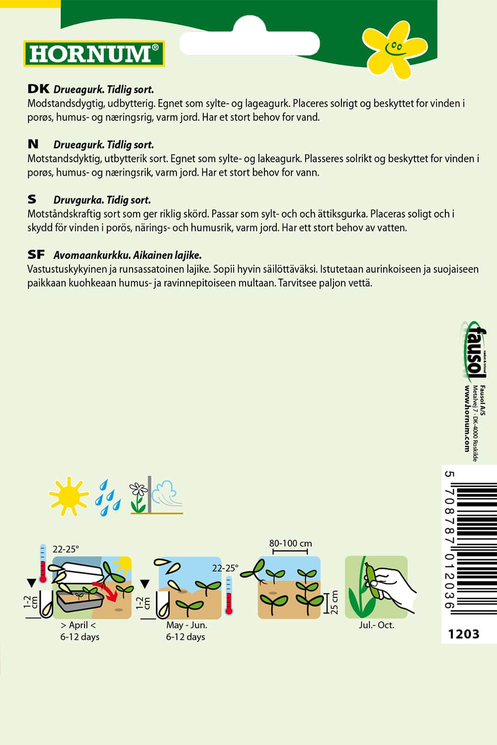 frilandsgurka-vorgebirgstrauben-2