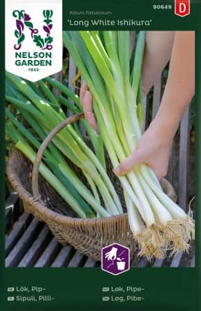 piplk-long-white-ishikura-1