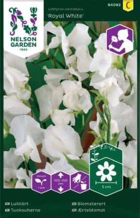 luktrt-royal-white-1