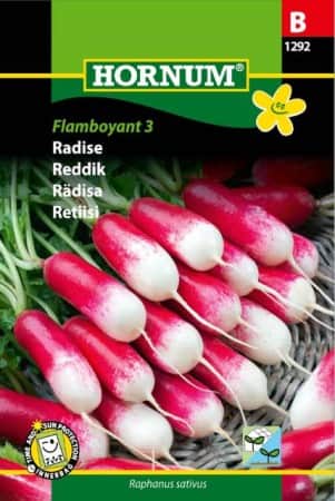 rdisa-flamboyant-3-1