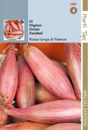 salladslk-rossa-lunga-di-firenze-1