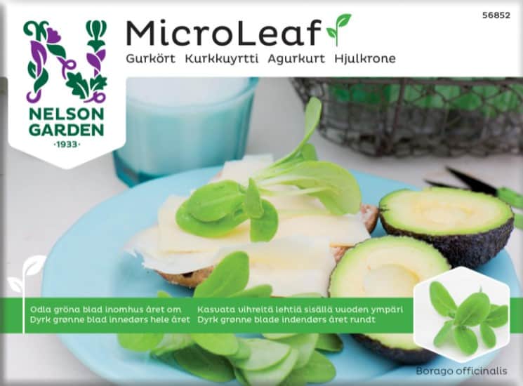 micro-leaf-gurkrt-1