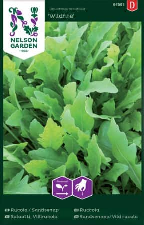 rucola-sandsenap-wildfire-1