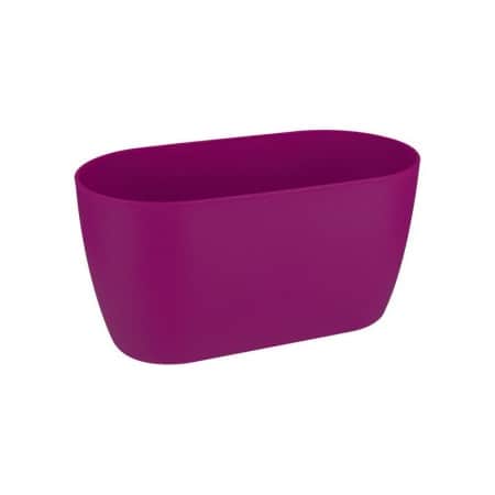 brussels-orchid-duo-25cm-cherry-red-1