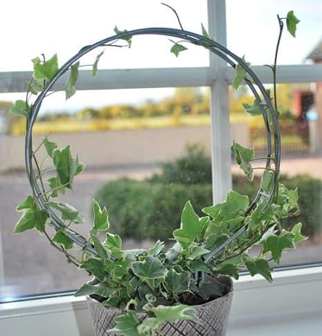 vxtstd-rund-rost-small-35x23cm-1
