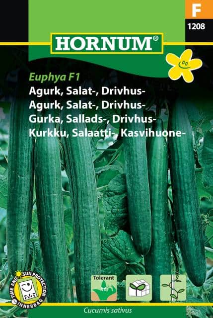 drivhusgurka-sallatsgurka-euphya-f1-fr-1