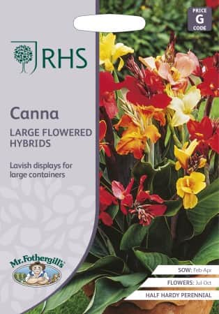 kanna-large-flowered-hybrids-1