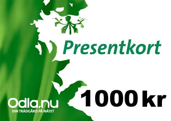 presentkort-1000-1