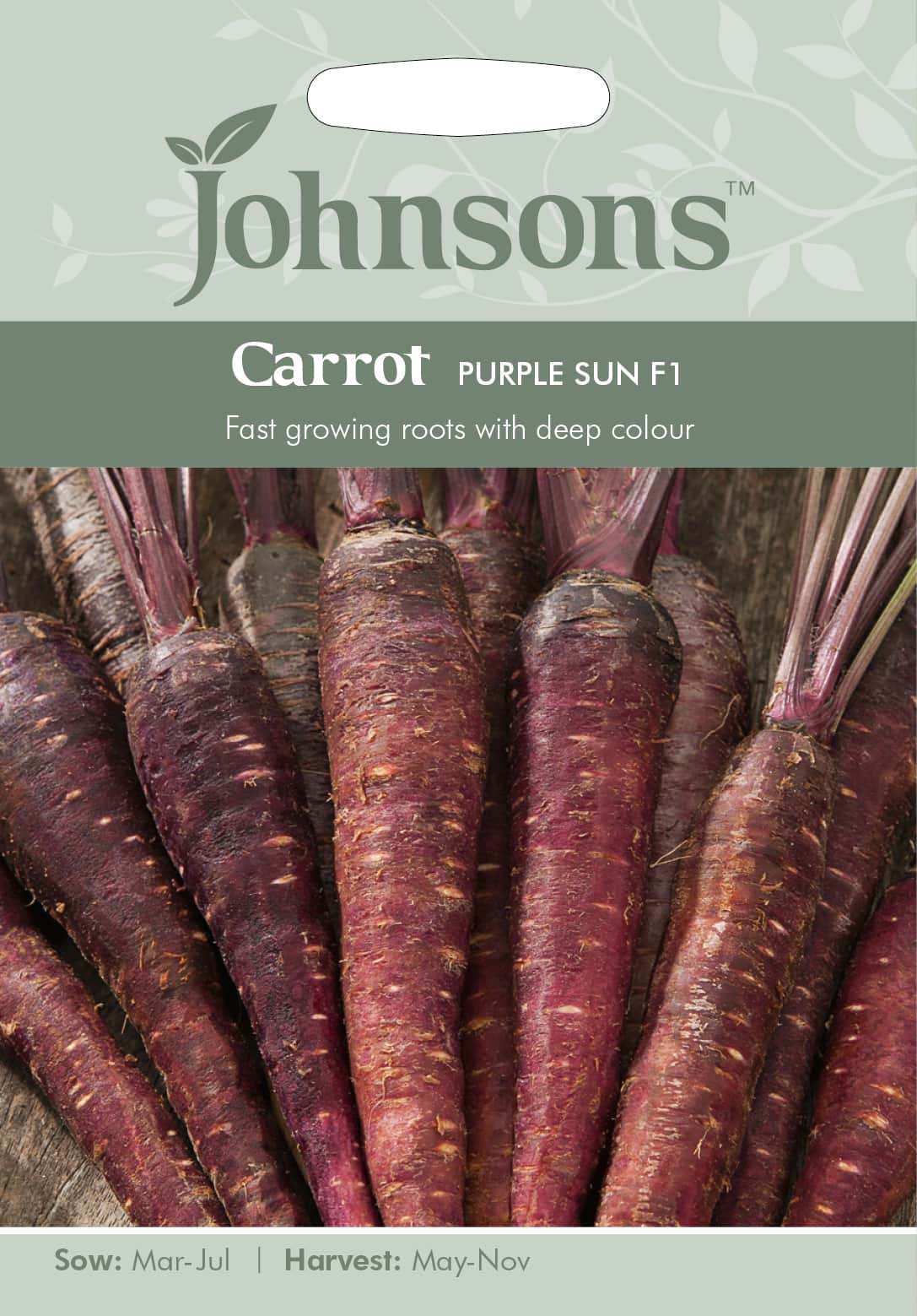 morot-purple-sun-f1-1