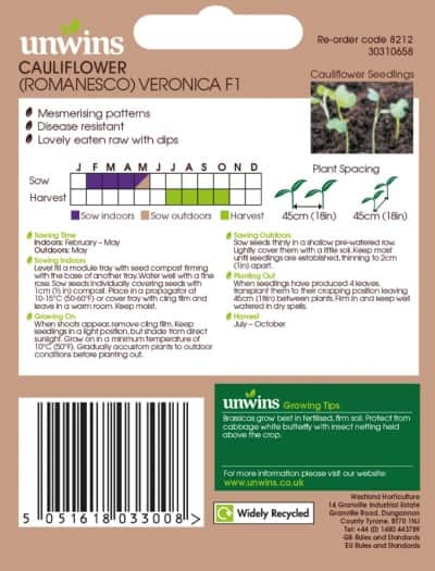 blomkl-romanesco-veronica-f1-2