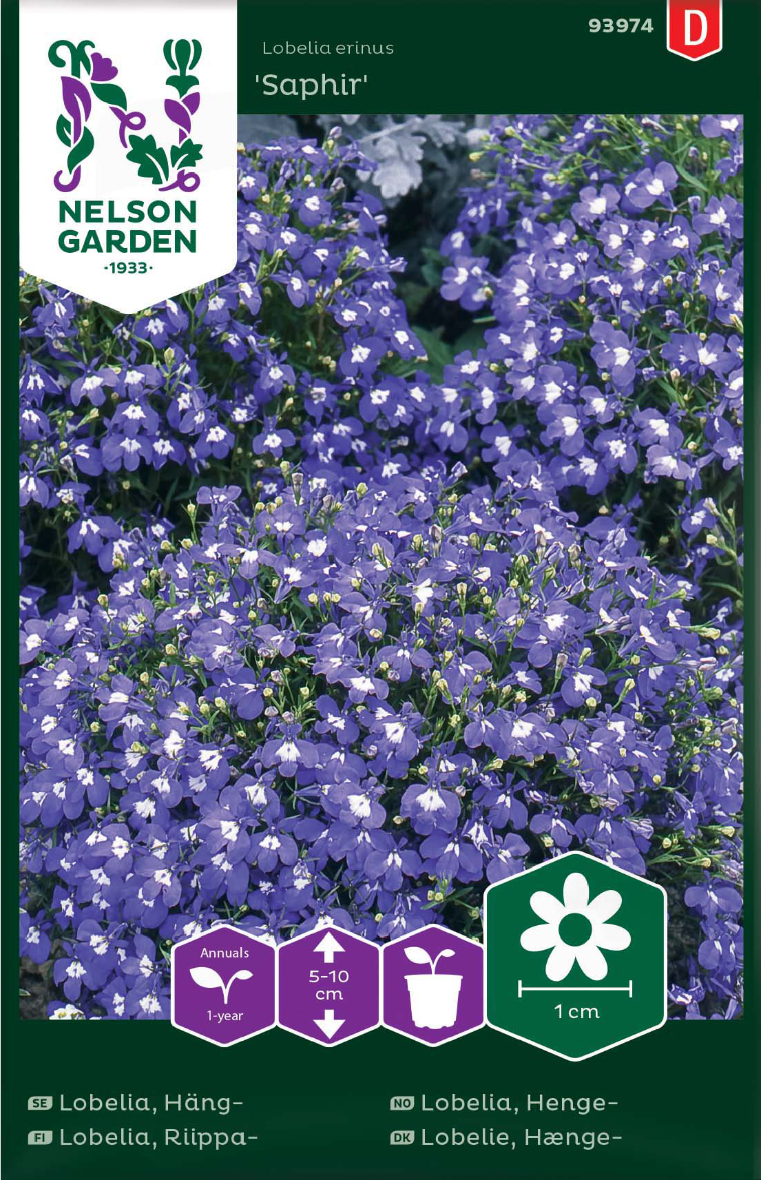 hnglobelia-saphir-1