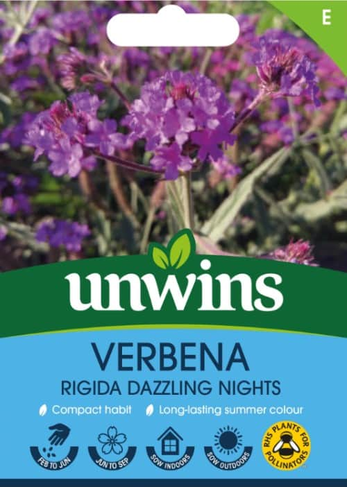 violverbena-dazzling-nights-1