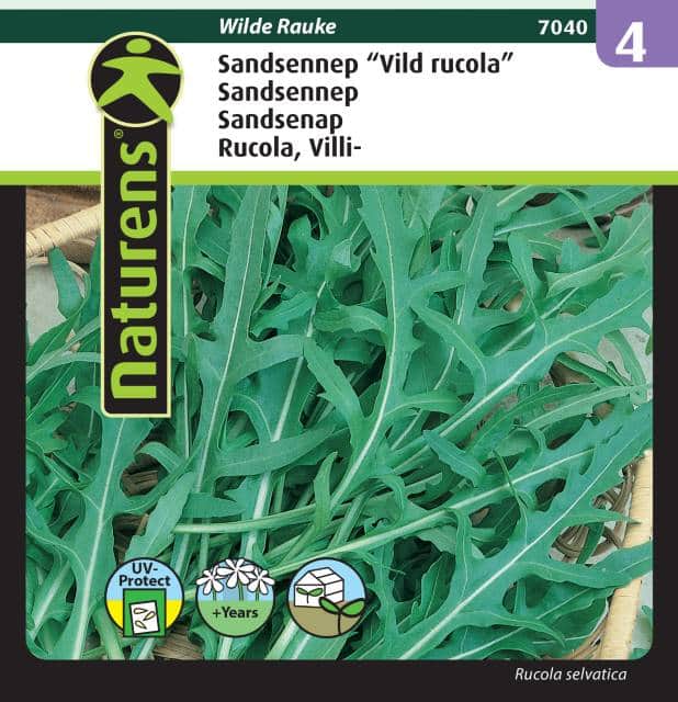 sandsenap-vild-rucola-wilde-rauke-fr-1