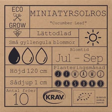 miniatyrsolros-cucumber-leaf-krav-mrkt-2