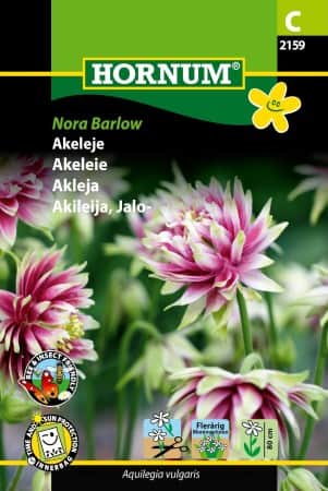 stjrnakleja-nora-barlow-1