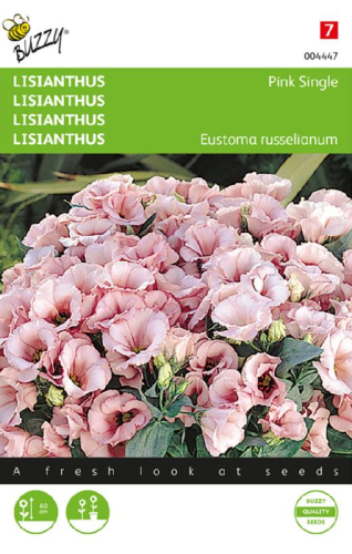 prrieklocka-pink-single-1