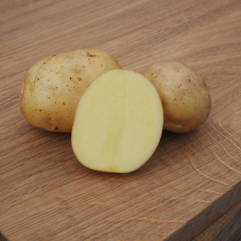 sttpotatis---connect-1kg-eko-2