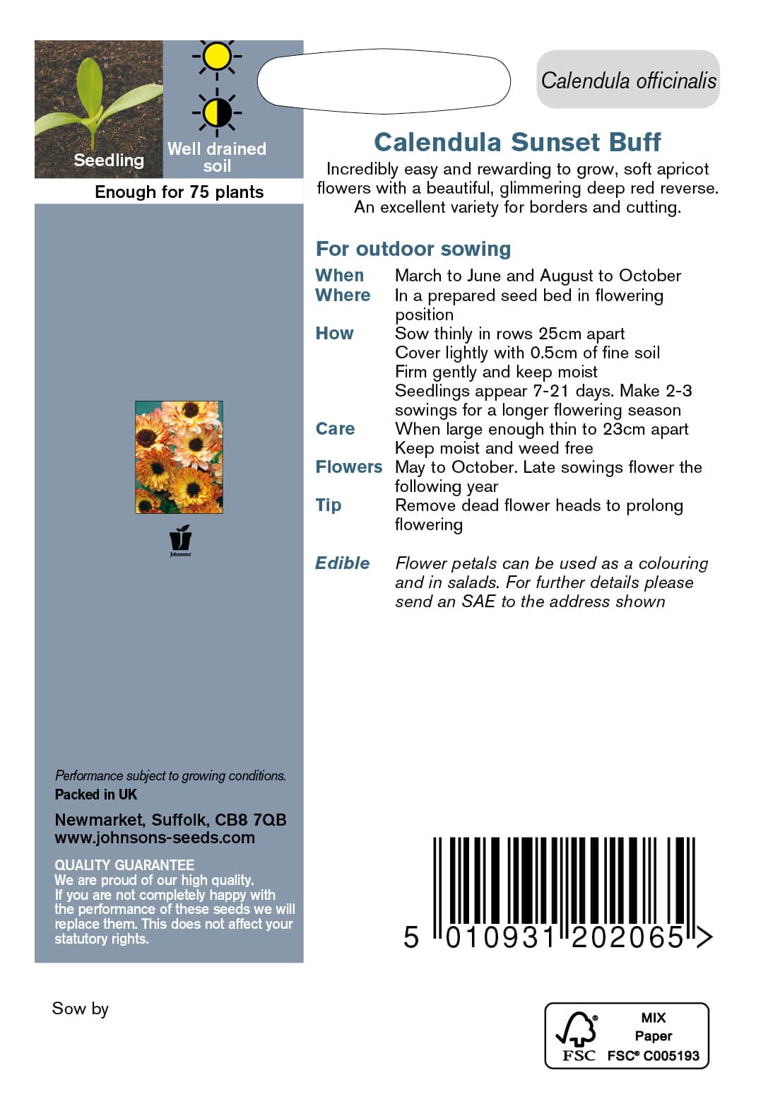 ringblomma-sunset-buff-fr-2