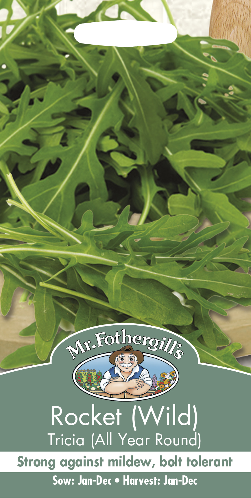 Ruccola ’Tricia’ – Frö