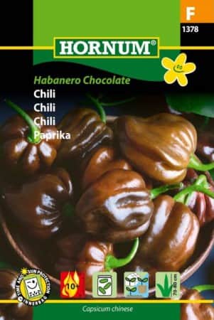 chili-habanero-chocolate-1