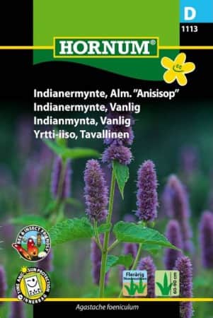 anisisop-indianmynta-lila-fr-1