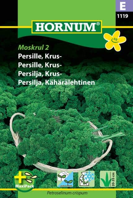 krusbladig-persilja-moskrul-2---maxipack-1