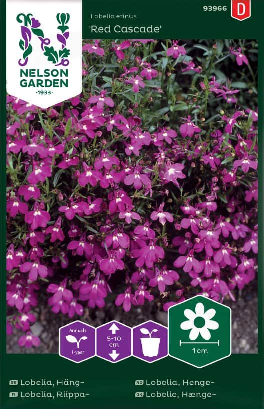 hnglobelia-red-cascade-fr-1