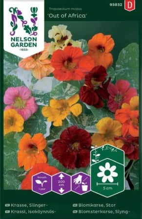 slingerkrasse-out-of-africa-mix-1