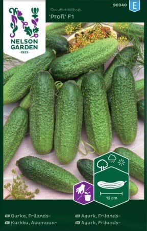 frilandsgurka-profi-f1-1